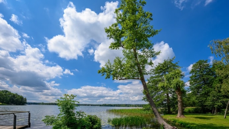 „Ludwig-Lesser-Promenade“ park at the banks of lake „Scharmützelsee“ in Bad Saarow „Ludwig-Lesser-Promenade“ park at the banks of lake „Scharmützelsee“ in Bad Saarow